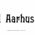 Væddeløbene ved Aarhus og Odense 1906