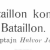 Dansk Bataillon kontra fransk Bataillon - 2