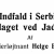 Det østrigske Indfald i Serbien i Aug, 1914. „Slaget ved Jadar“ (sluttet)