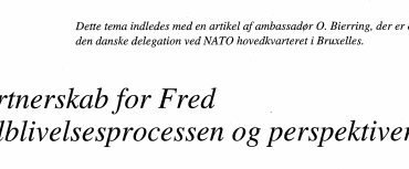 Partnerskab for Fred - tilblivelsesprocessen og perspektiv